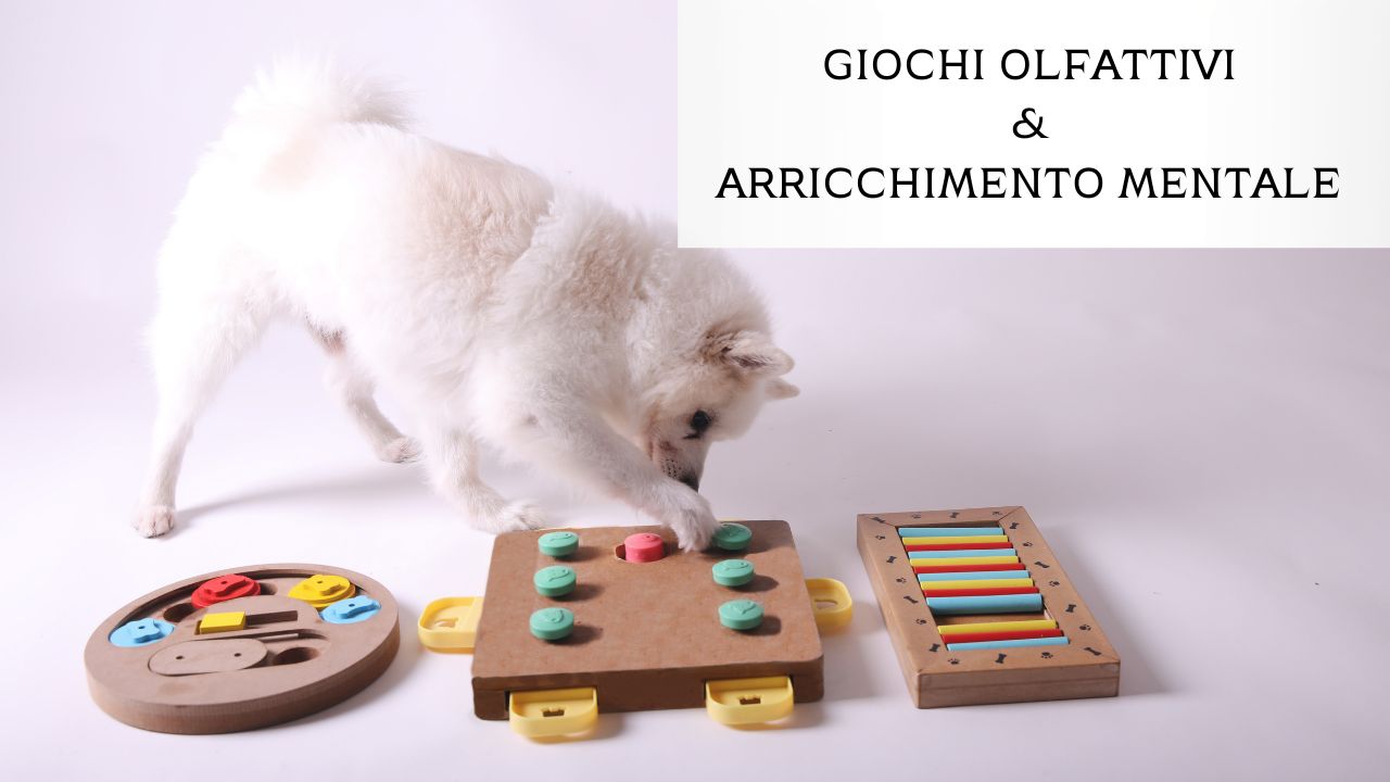 Giochi olfattivi e arricchimento mentale nel cane